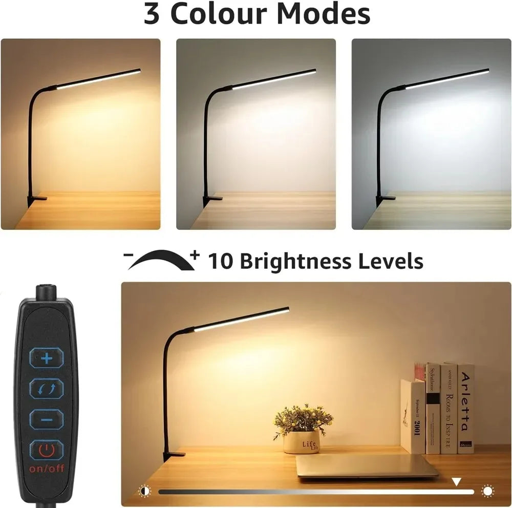 Professional LED Desk Lamp