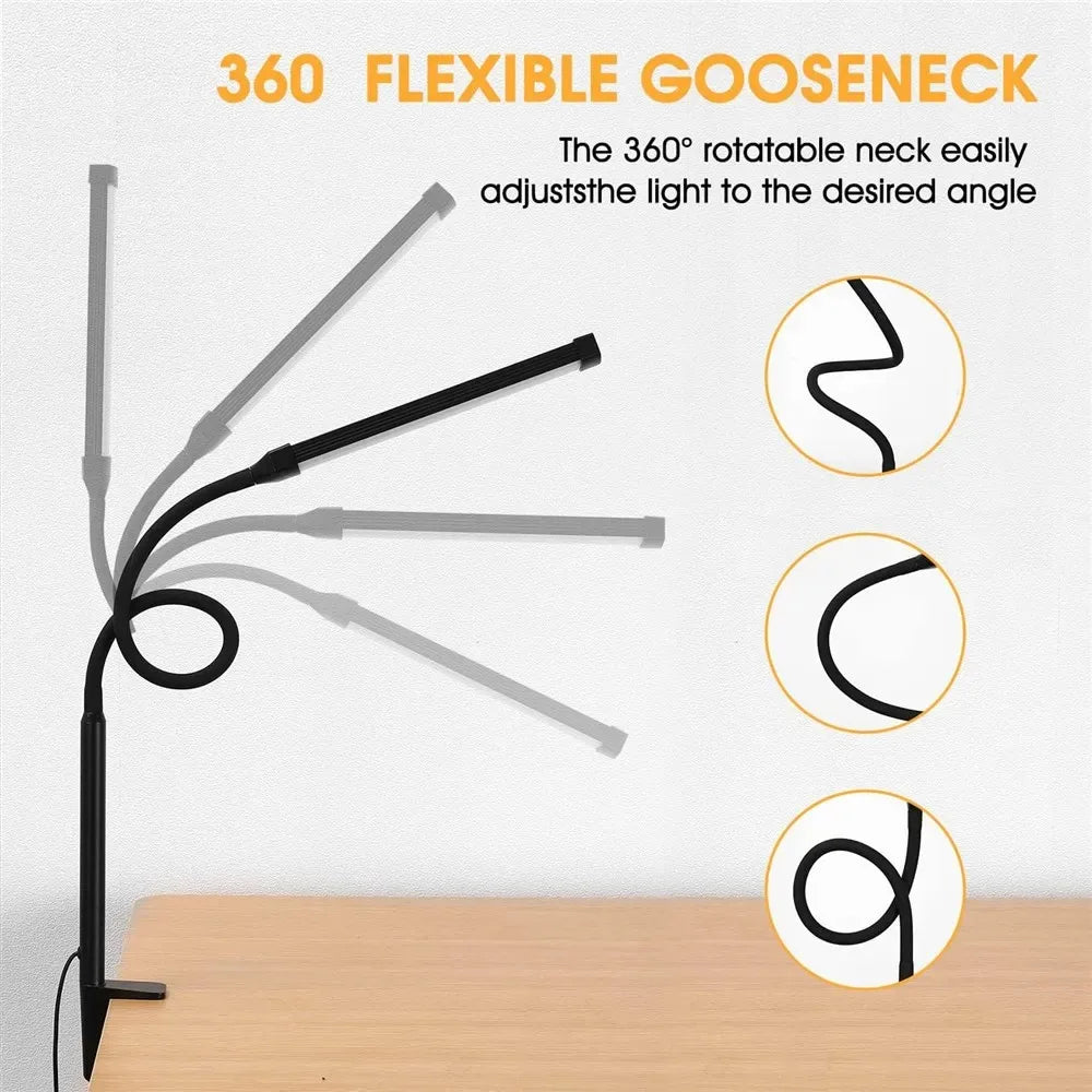Professional LED Desk Lamp