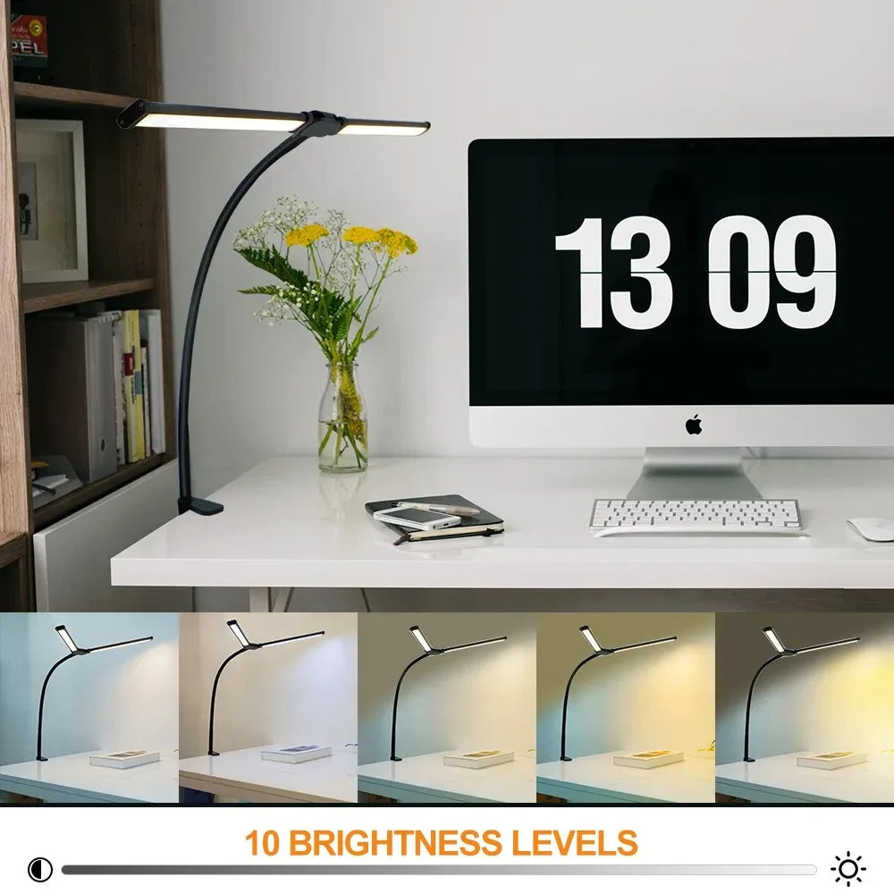 Professional LED Desk Lamp