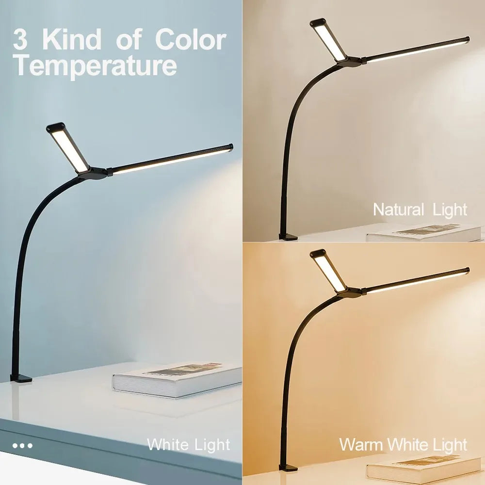 Professional LED Desk Lamp