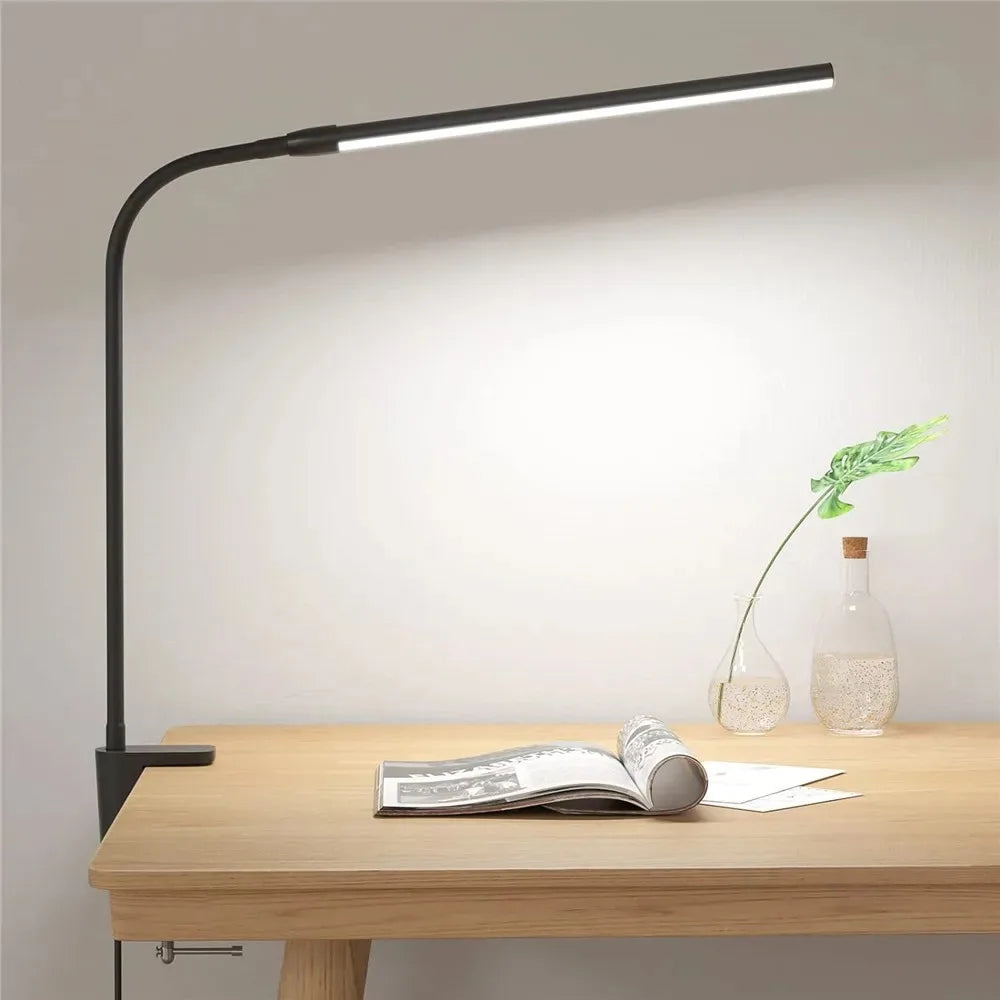 Professional LED Desk Lamp