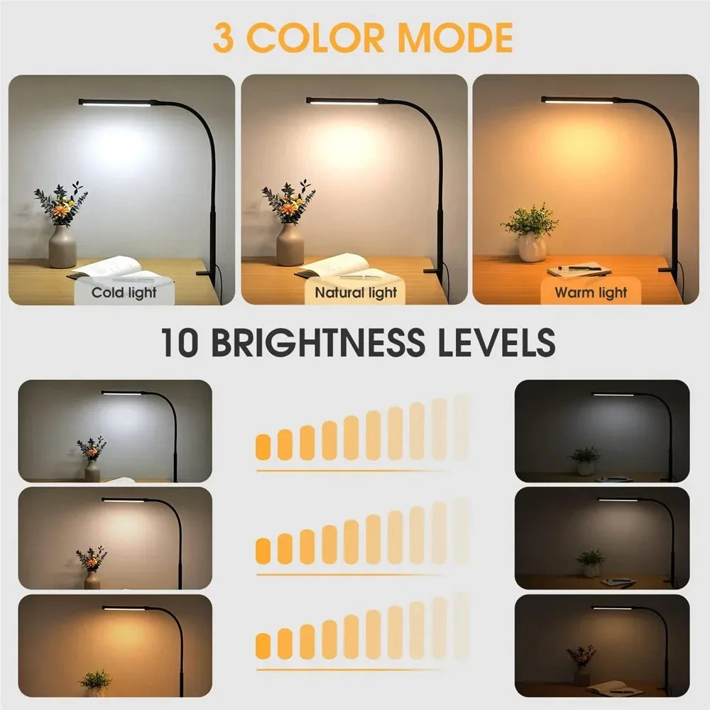 Professional LED Desk Lamp