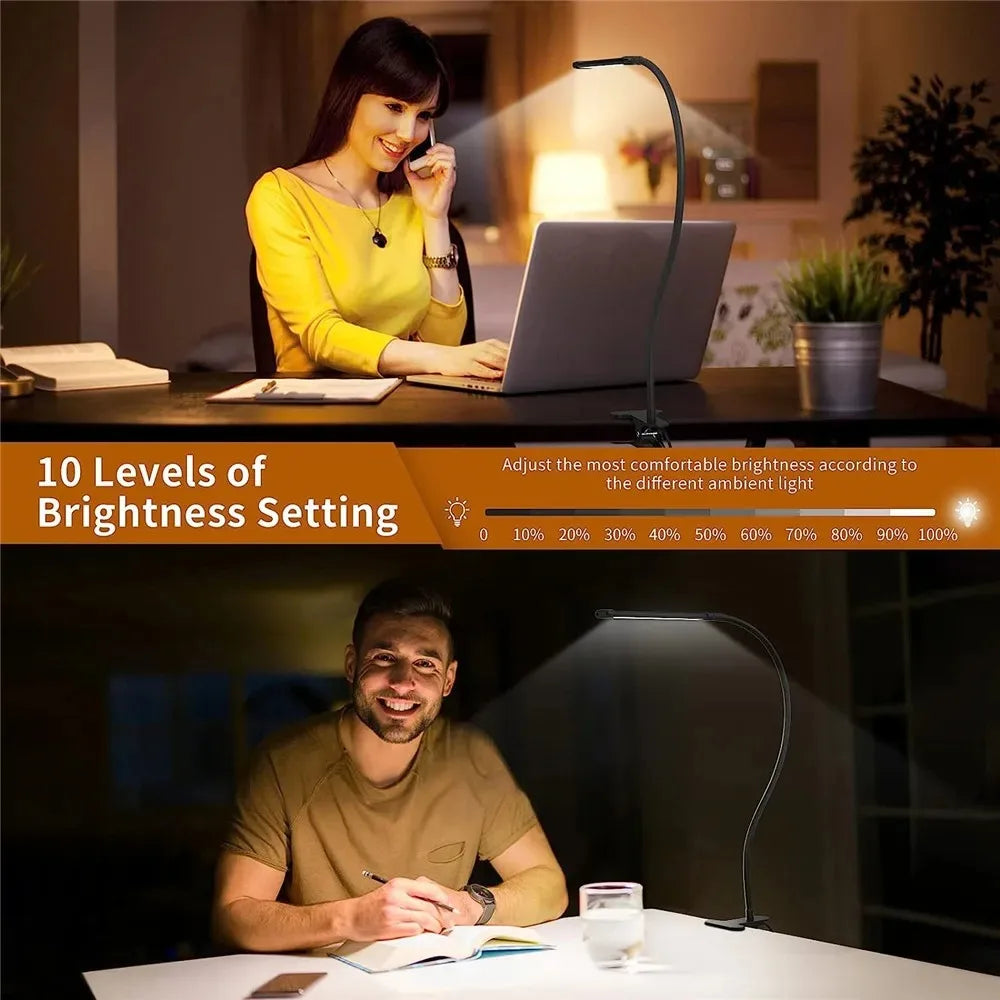 Professional LED Desk Lamp